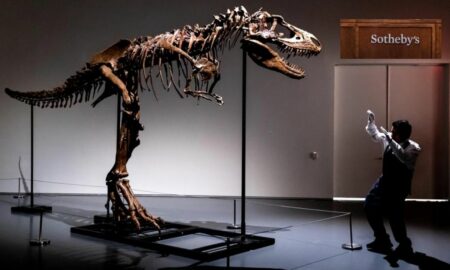 Vechi de peste 76 de milioane de ani, scheletul unui dinozaur va fi scos la licitație în New York