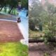 Șocant. Un bărbat din Moscova a murit strivit de un copac pe strada Ucraina. Video