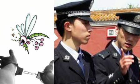 Țânțarul „erou”! Polițiștii din China au făcut “echipă” cu un țânțar pentru a găsi un infractor. Aflați întreaga poveste