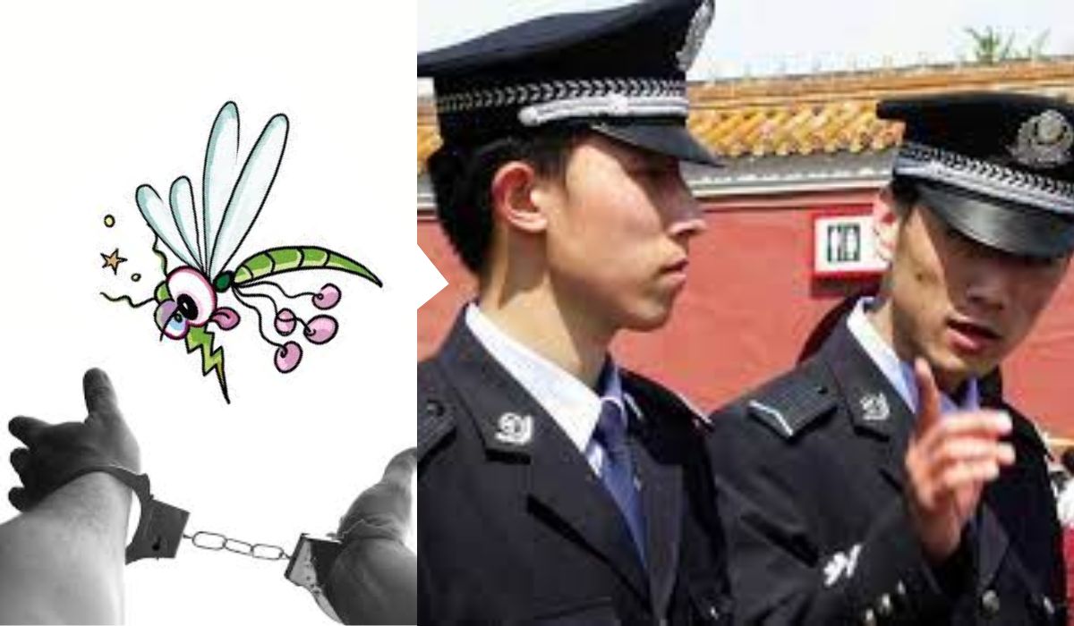 Țânțarul „erou”! Polițiștii din China au făcut “echipă” cu un țânțar pentru a găsi un infractor. Aflați întreaga poveste