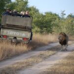 Un vânător de lei și elefanți este prins în ambuscadă și împușcat de câțiva hoți. Ce au avut de împărțit tâlharii cu omul pădurii