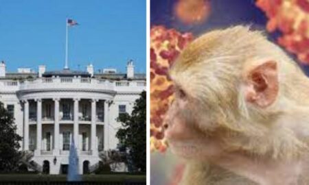 Cum a reacţionat Casa Albă la decizia OMS de a declara variola maimuţei drept urgenţă sanitară globală