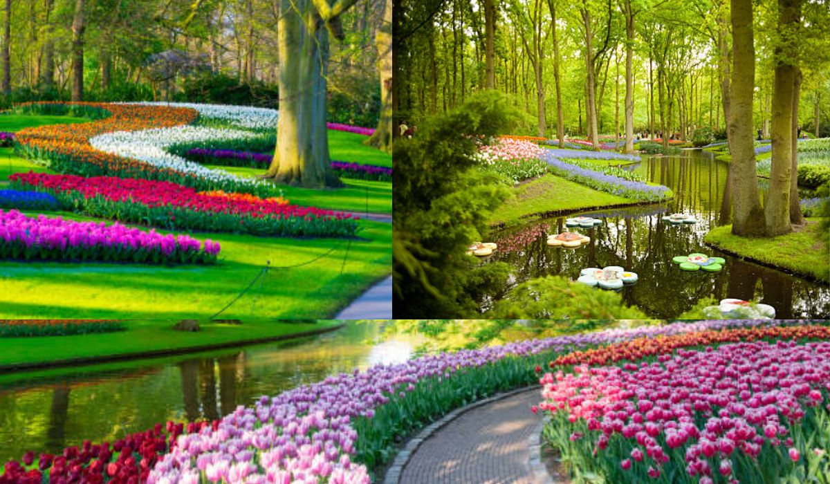 Grădina de flori a Europei, locul unde toate florile sunt marcate