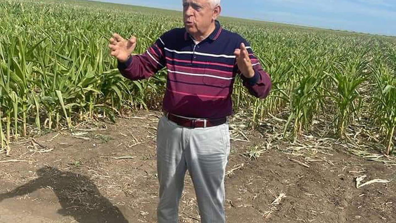 Petre Daea a explicat de ce numără boabele şi rândul boabelor de pe ştiuletul unui porumb
