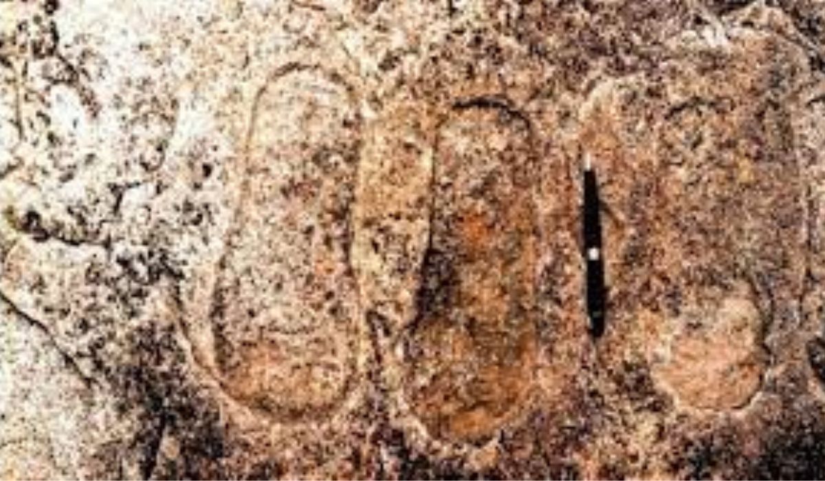 Cele mai vechi urme de paşi umani descoperite până acum în Europa se află în România