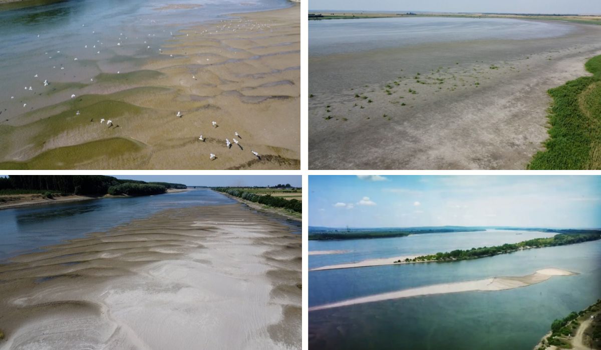 Ce se întâmplă cu Dunărea din cauza secetei și ce spun specialiștii despre apariția dunelor de nisip