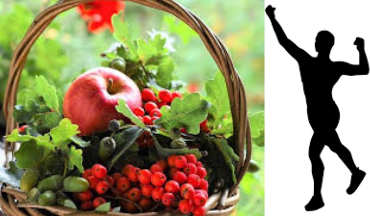 Top 5, fructele de pădure care susţin sistemul imunitar, fie vară, fie iarnă