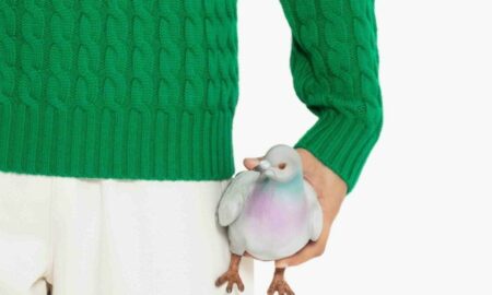 O nouă modă: Cum arată geanta bărbătească sub formă de porumbel. Foto