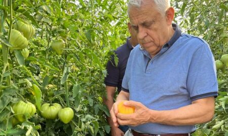 Ministrul Agriculturii, Petre Daea: la legume am un preţ al respectului. Cât îmi cere, atât îi dau