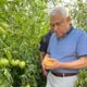 Ministrul Agriculturii, Petre Daea: la legume am un preţ al respectului. Cât îmi cere, atât îi dau