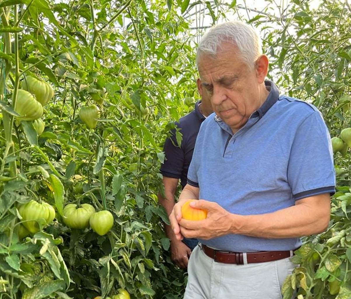 Ministrul Agriculturii, Petre Daea: la legume am un preţ al respectului. Cât îmi cere, atât îi dau
