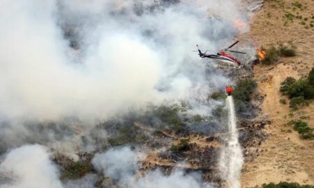 Incendiu de vegetaţie în Utah. Dezastrul s-a pornit din cauza unui păianjen