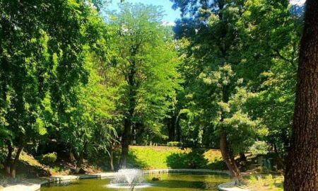 Scene de vandalism și cruzime în parcul Kiseleff. Ce au putut să facă câțiva tineri