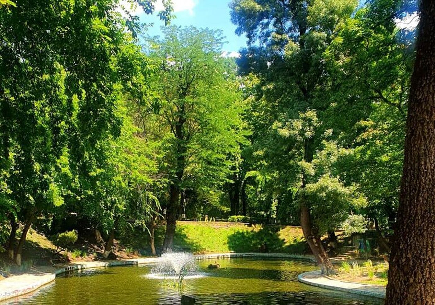 Scene de vandalism și cruzime în parcul Kiseleff. Ce au putut să facă câțiva tineri