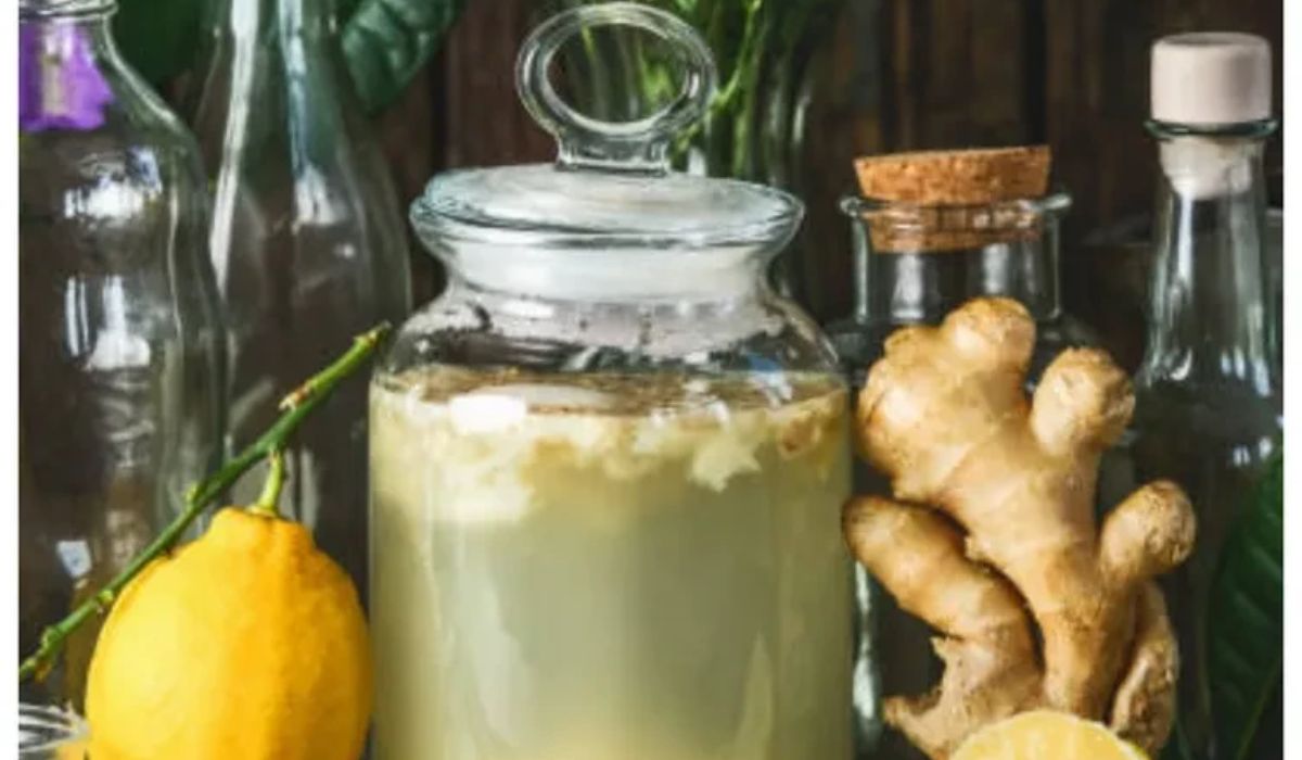 Berea de ghimbir, băutura foarte apreciată de copiii britanici, datorită conținutului scăzut de alcool. Cum se prepară în casă?