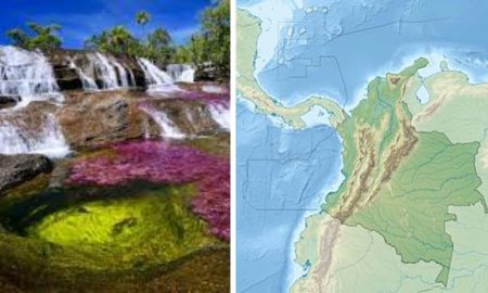 „Râul celor cinci culori”, o minune biologică unică în întreaga lume