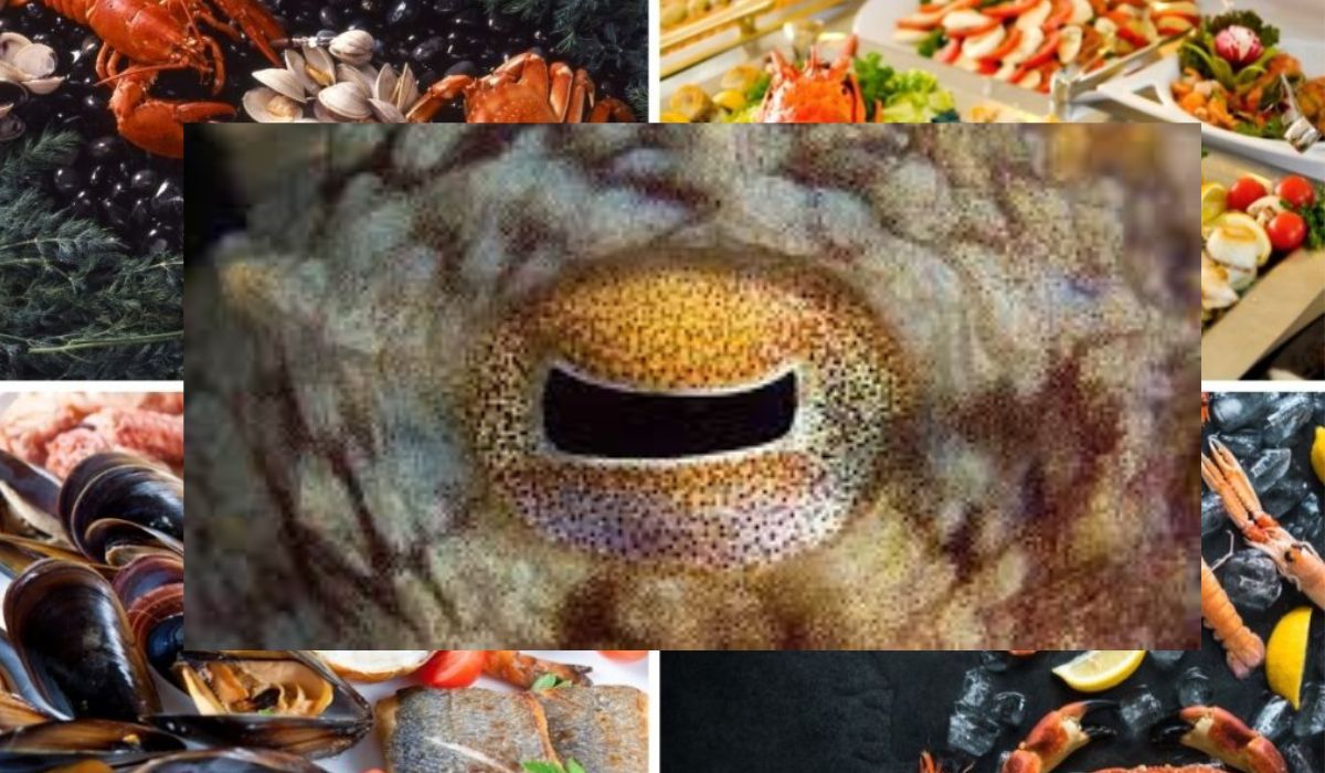 Foarte apreciate în gastronomie, unele creaturi din farfurie au o inteligență uimitoare. S-au făcut studiii