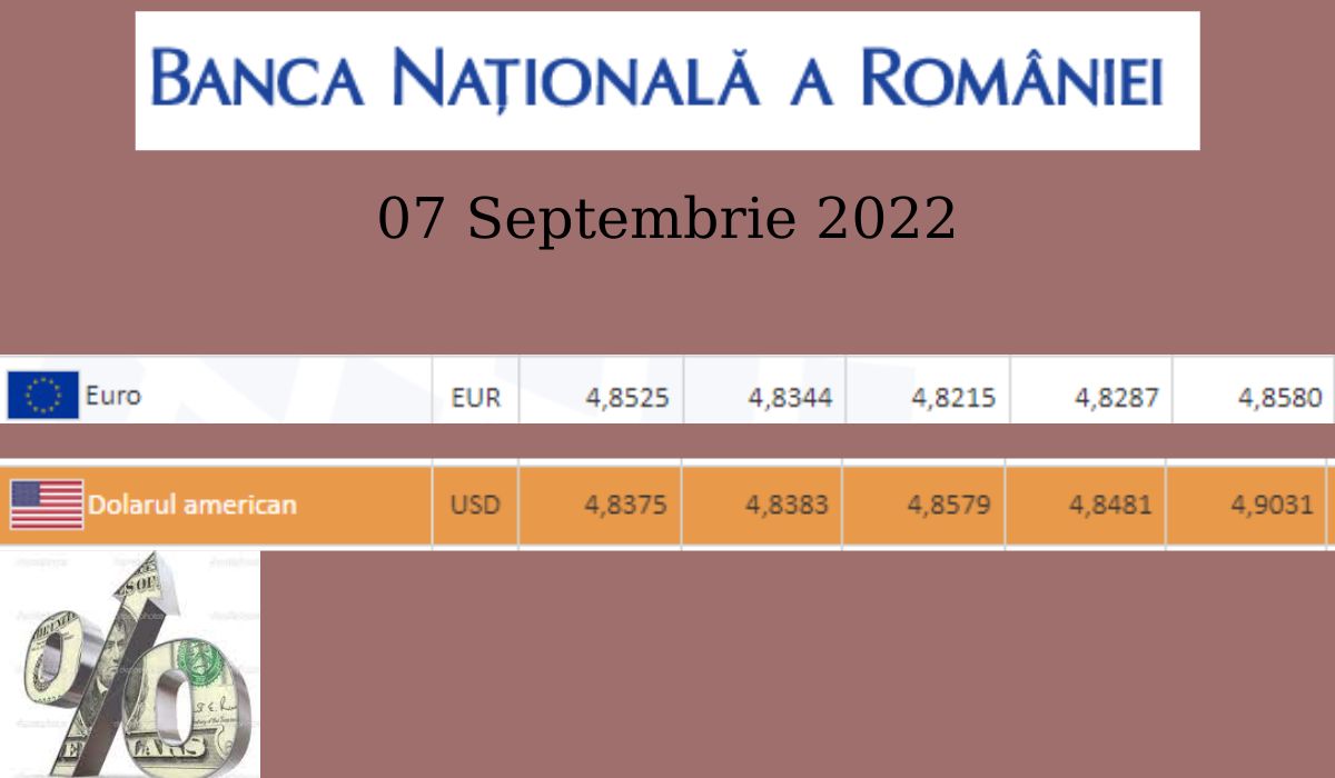 Dolarul american a sărit de 4,9 lei, iar prețul petrolului pe piața internațională a scăzut 