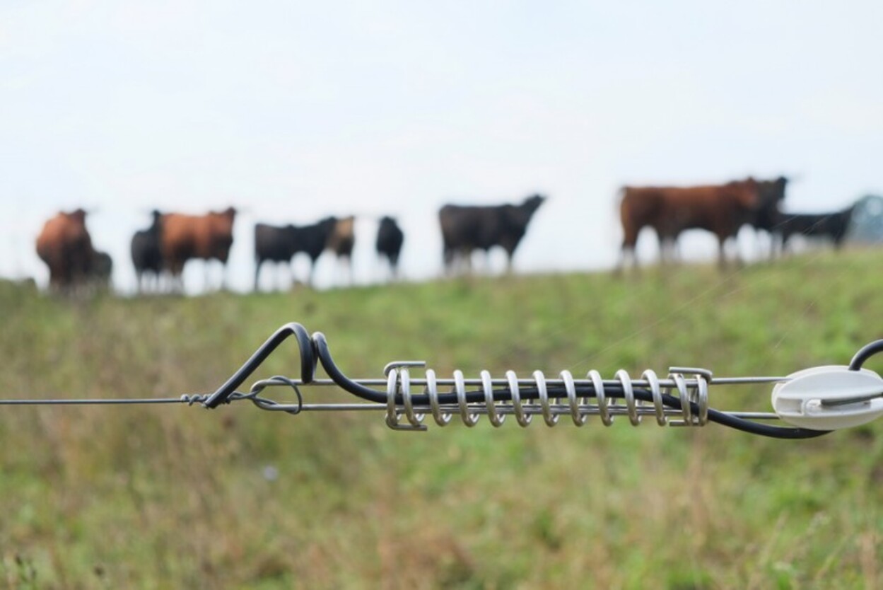 Cum pot fi obținuți 15 mii de lei pentru instalarea gardurilor electrice care să țină animalele sălbatice la distanță