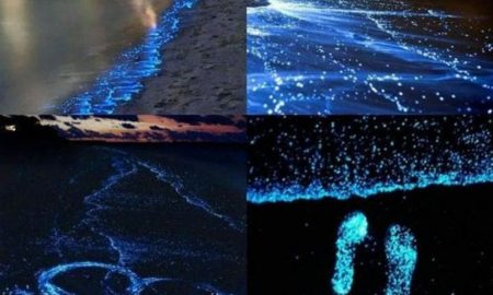 Plaja magică înstelată din Maldive, unul din spectaculoasele locuri pe care planeta ni le poate oferi