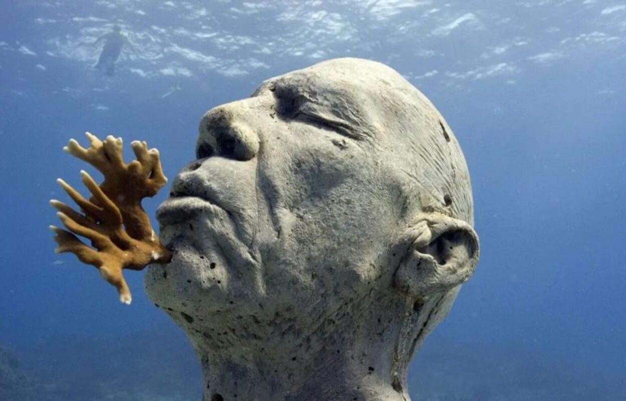Cum arată muzeul subacvatic de la Cannes, creat după chipul și asemănarea oamenilor locului. Imagini spectaculoase