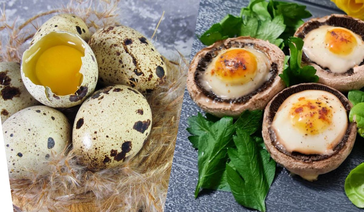 Știți să gătiți oul de prepeliță? E aliment și delicatesă în același timp
