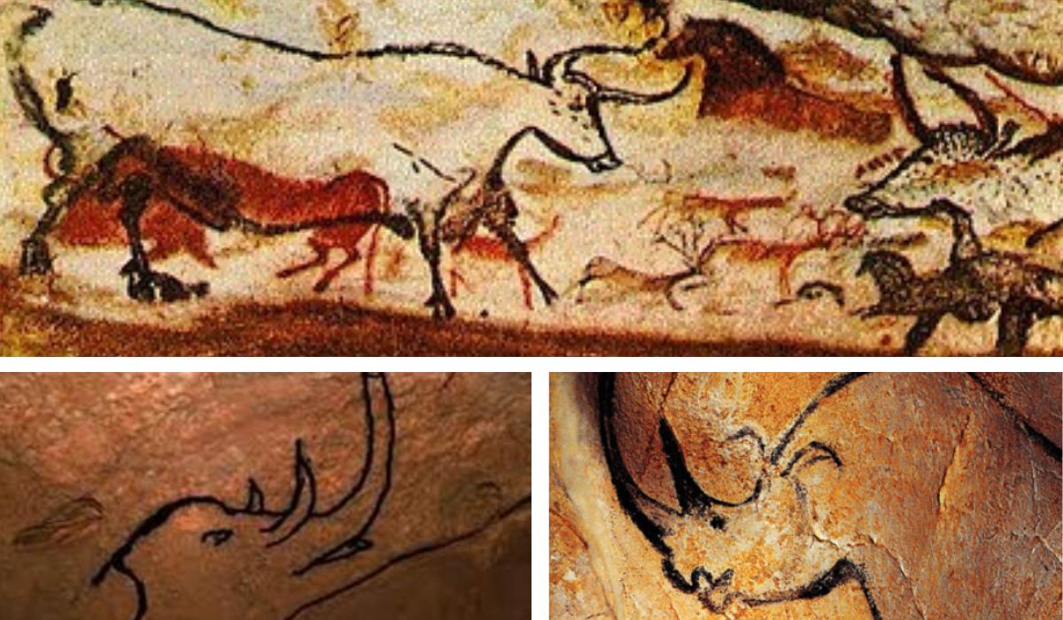 Descoperire unică în Europa Centrală şi de Est,dar şi în lume:desenele foarte vechi, de 36.000 de ani dintr-o peșteră din România