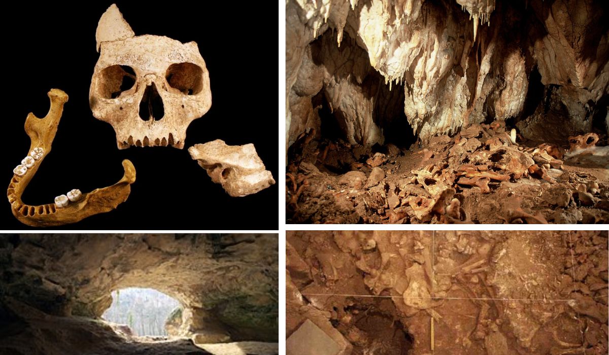 Cele mai vechi fosile din Europa, aparţinând omului modern, Homo sapiens, au fost descoperite în România relativ recent