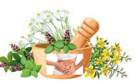 Plante și produse din plante recomandate pentru tratarea afecțiunilor digestive