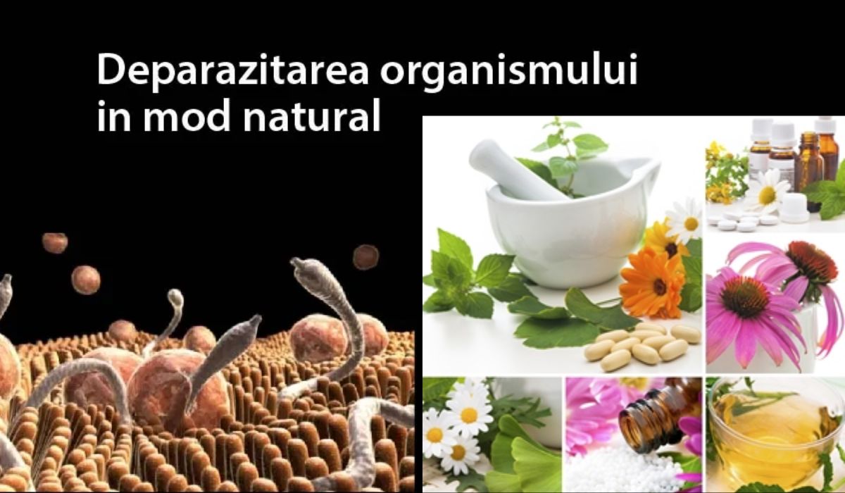 Produsul-minune al naturii care combate paraziții intestinali