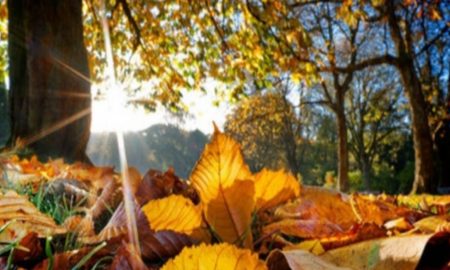 Prognoză meteo 26 octombrie. Temperaturi anormal de calde pentru luna octombrie