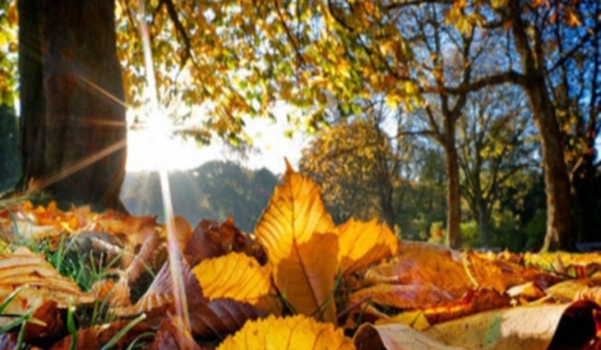 Prognoză meteo 26 octombrie. Temperaturi anormal de calde pentru luna octombrie