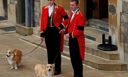 Câinii şi poneiul Reginei i-au oferit un ultim salut stăpânei. Fotografia cu Prințesa Charlotte plângând a făcut înconjurul lumii