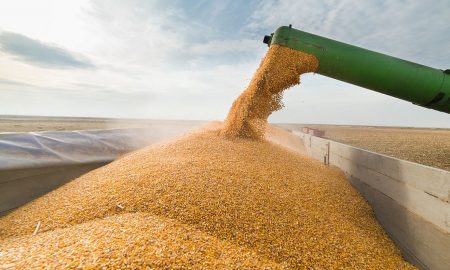 America a cumpărat Ucraina? Ce se întâmplă cu zecile de milioane de hectare de teren agricol, calitate premium