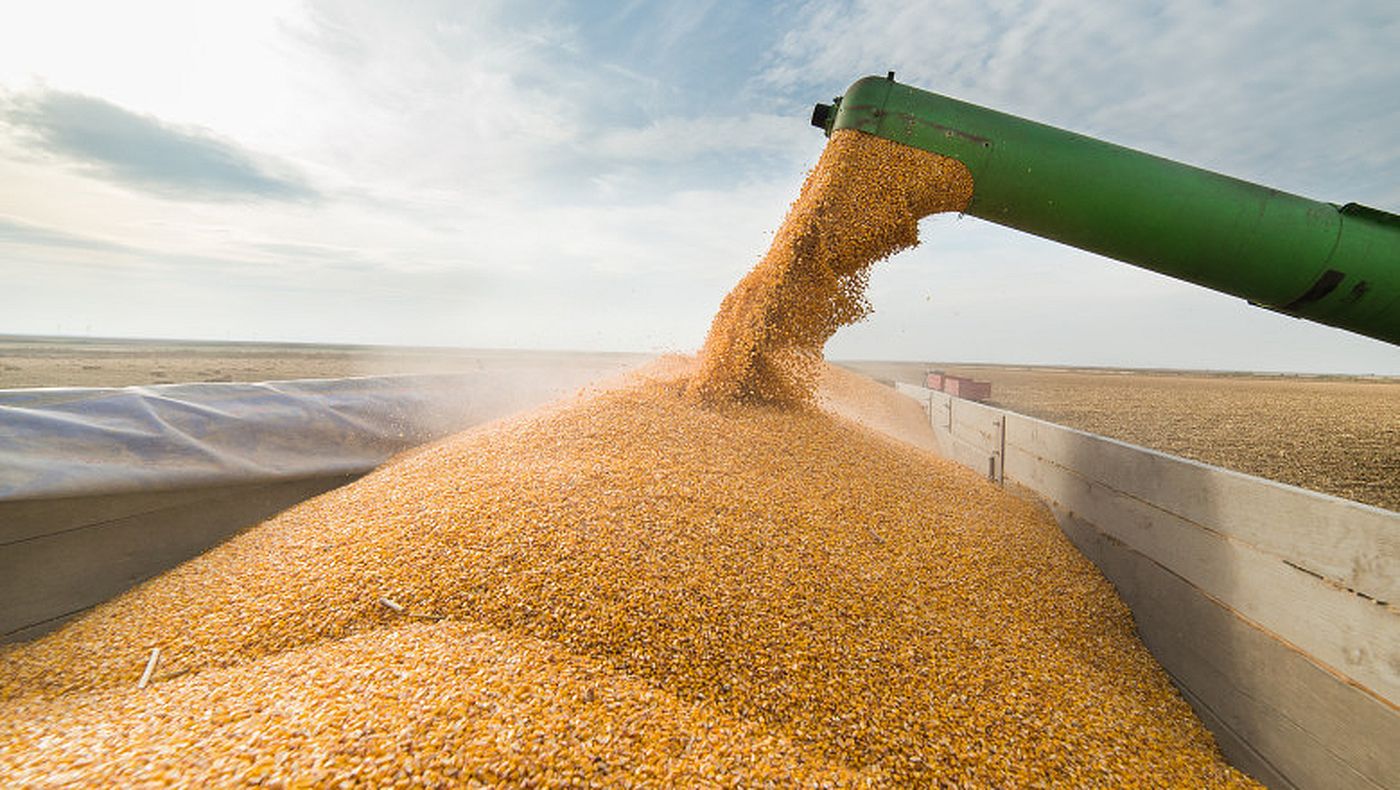 America a cumpărat Ucraina? Ce se întâmplă cu zecile de milioane de hectare de teren agricol, calitate premium