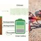 Cercetătorii au creat baterii din coji de crab! Acestea pot stoca energie din surse solare și eoliene la scară largă
