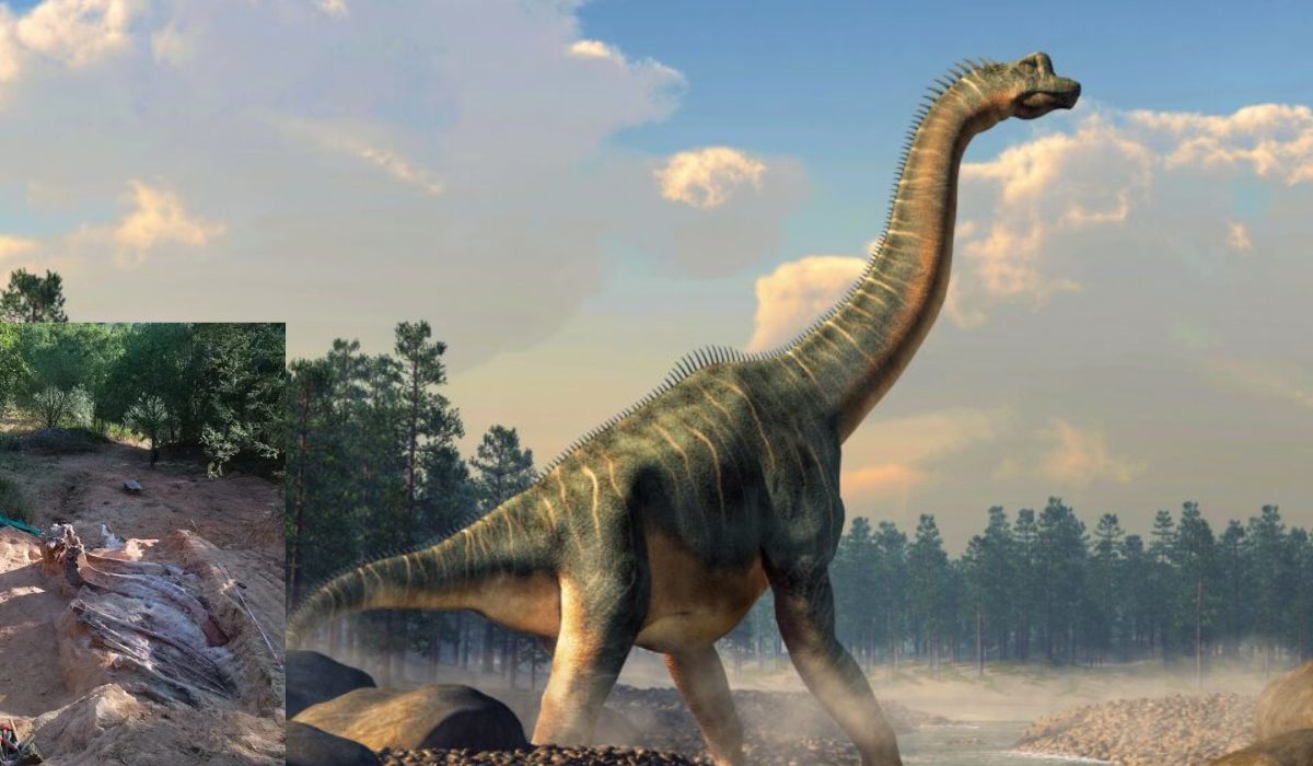 În Portugalia a fost descoperit cel mai mare schelet de dinozaur din Europa