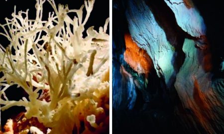 Peștera cu Corali, caverna care adăpostește unele dintre cele mai inedite formaţiuni 