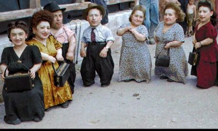 Cei șapte pitici ai României, celebri și bogați, care au învins „Îngerul morții” la Auschwitz
