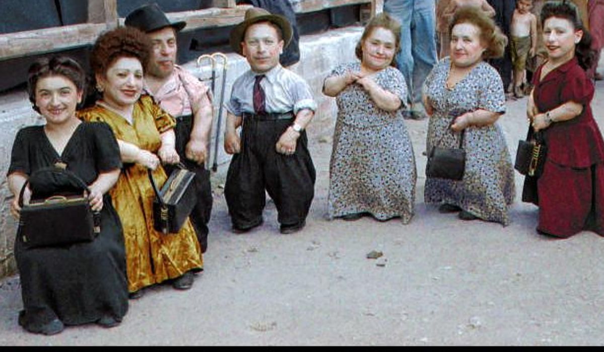 Cei șapte pitici ai României, celebri și bogați, care au învins „Îngerul morții” la Auschwitz