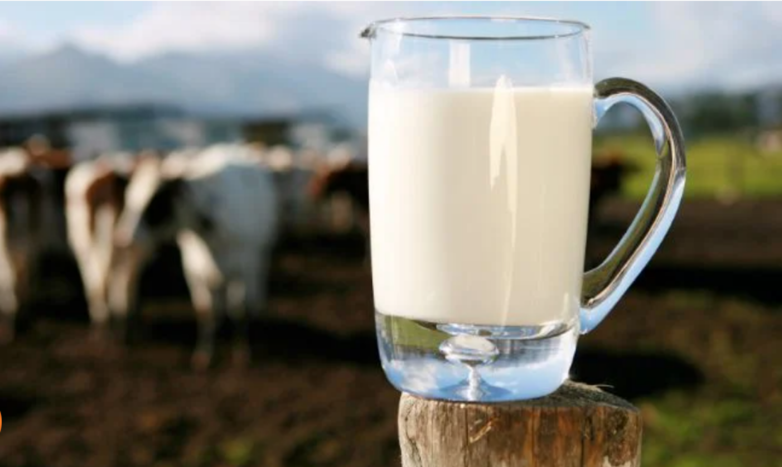 lapte, sursa foto ifa.ie