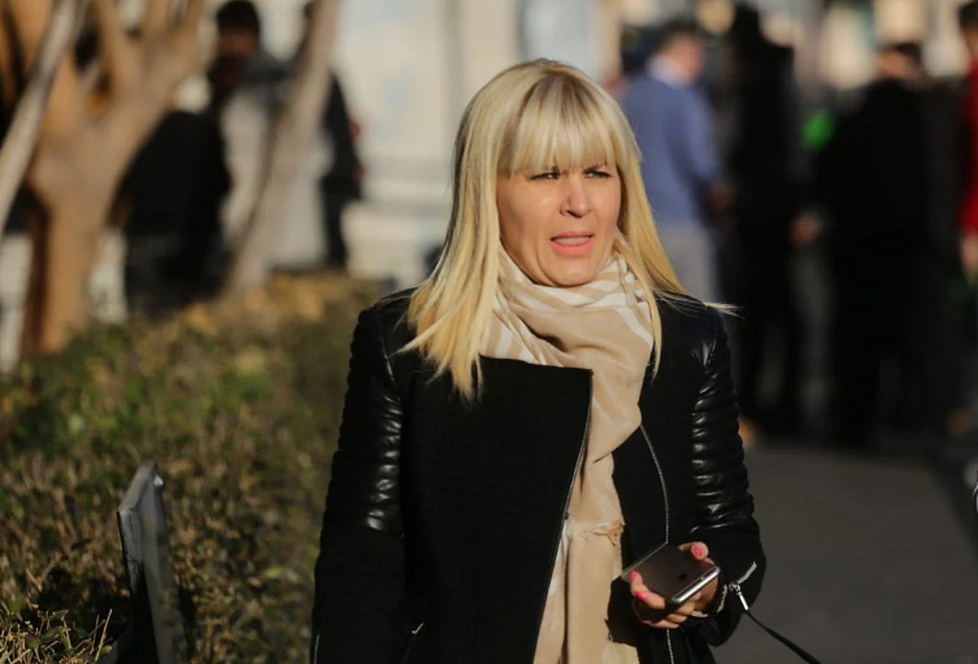 Elena Udrea dă vina pe Cătălin Predoiu și pe bărbații „rujați și cu fuste” pentru eşecul Schengen