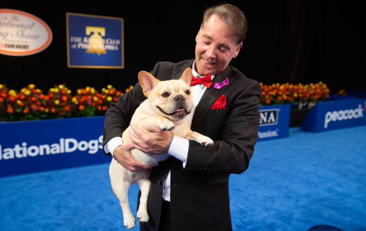 Un buldog francez a luat pentru prima dată premiul cel mare la Expoziția Națională Canină din Statele Unite