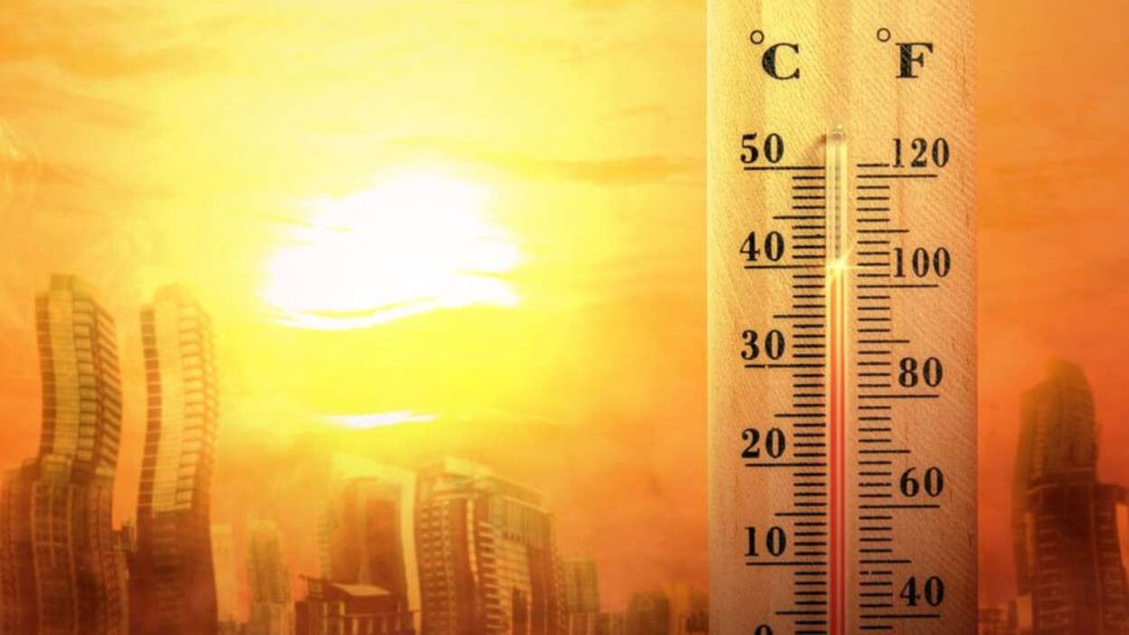 Statistică înfiorătoare. Până la 90.000 de decese vor avea loc anual din cauza căldurii, în UE. De ce cred aceasta specialiștii