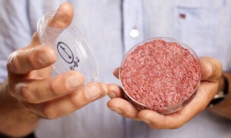 Premieră. SUA a aprobat carnea crescută în laborator pentru consumul uman