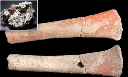 Niveluri neobișnuit de ridicate de mercur au fost găsite în oasele umane care datează de acum 5.000 de ani
