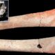 Niveluri neobișnuit de ridicate de mercur au fost găsite în oasele umane care datează de acum 5.000 de ani
