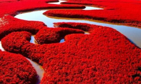  „Cea mai romantică” plajă fără nisip, de un roșu fascinant. Imagini fabuloase