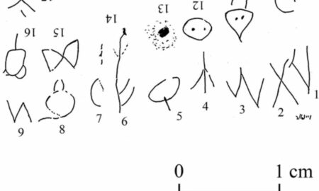 A fost descifrată cea mai veche propoziție cunoscută, scrisă în primul alfabet descoperit