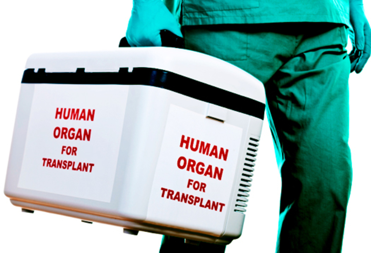 Un politician libanez milionar este judecat în Spania pentru că „a cumpărat organe pentru transplant de la imigranți”
